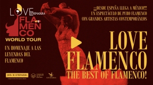 flamenco