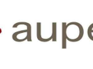 LogoAupex