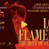 flamenco